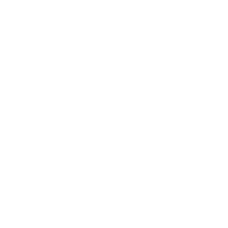 C++