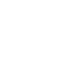 Css