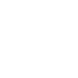 Dotnet