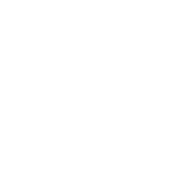 VBA